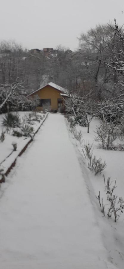Pensiunea Lucia Ana *