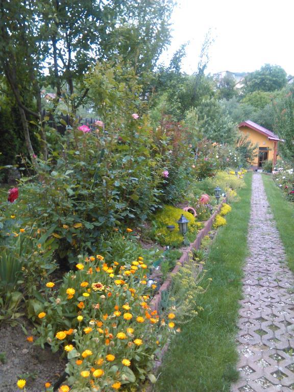 Gasthof Pensiunea Lucia Ana Cluj-Napoca